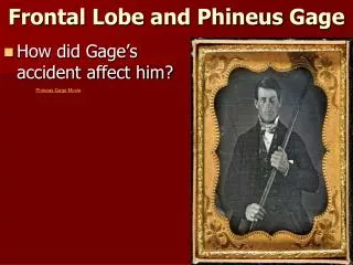 Frontal Lobe and Phineus Gage