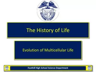 The History of Life