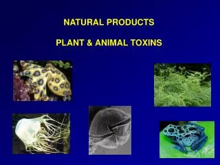 NATURAL PRODUCTS PLANT &amp; ANIMAL TOXINS