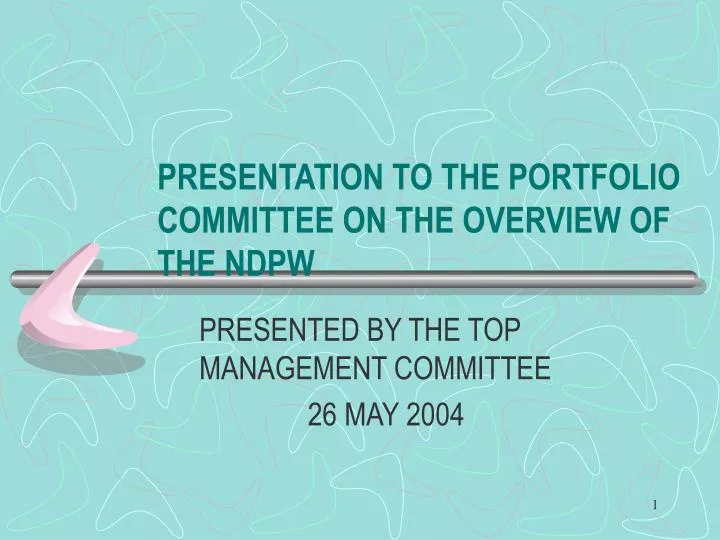 presentation to the portfolio committee on the overview of the ndpw