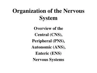 Organization of the Nervous System
