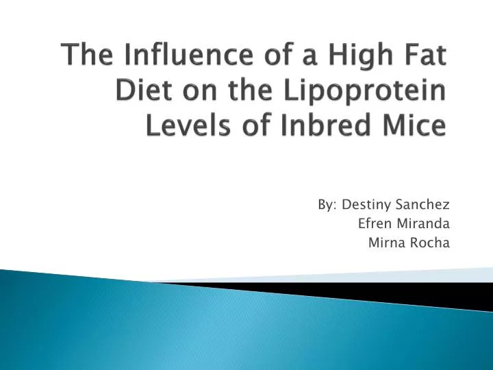 the influence of a high fat diet on the lipoprotein levels of inbred mice