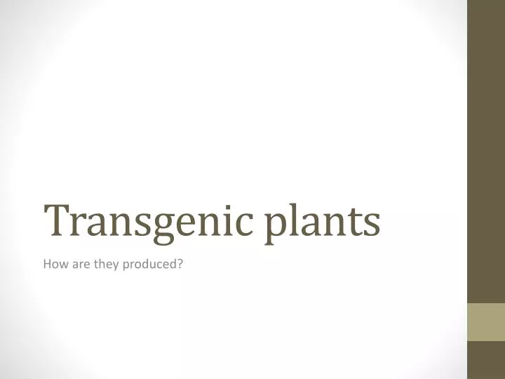 transgenic plants