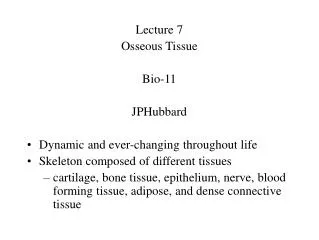 Lecture 7 Osseous Tissue Bio-11 JPHubbard Dynamic and ever-changing throughout life