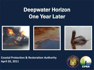 Deepwater Horizon One Year Later