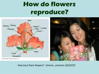 How do flowers reproduce?