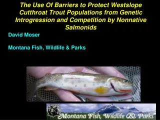 David Moser Montana Fish, Wildlife &amp; Parks