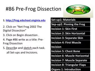 #86 Pre-Frog Dissection