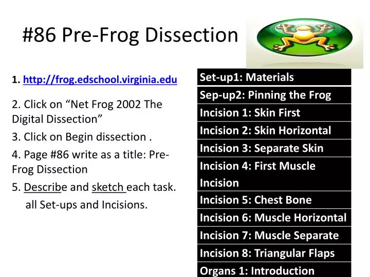 86 pre frog dissection