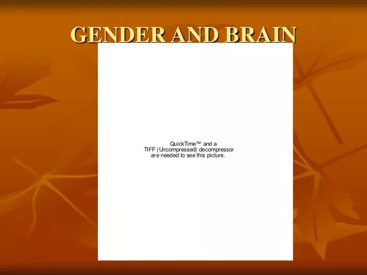 gender and brain