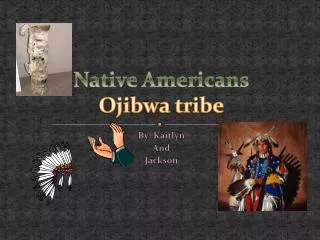 Native Americans Ojibwa tribe