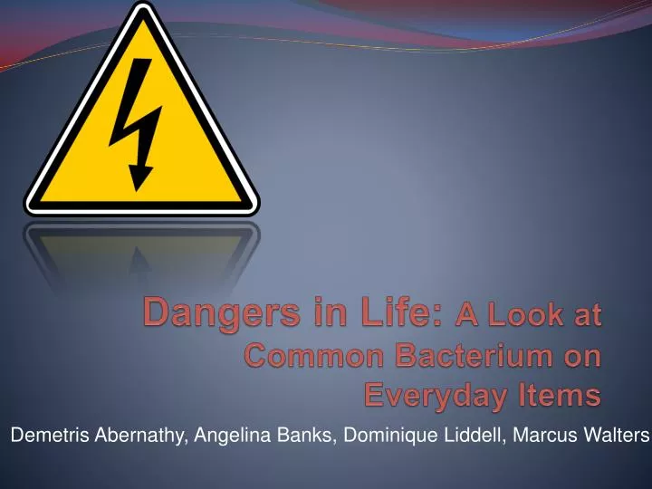 dangers in life a look at common bacterium on everyday items