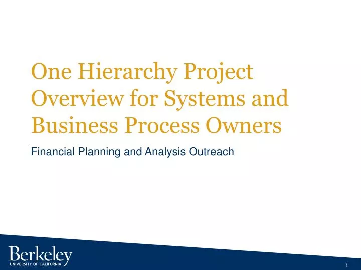 one hierarchy project overview for systems and business process owners