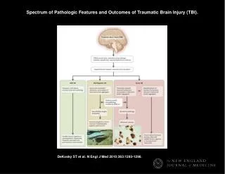 Spectrum of Pathologic Features and Outcomes of Traumatic Brain Injury (TBI).