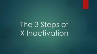The 3 Steps of X Inactivation
