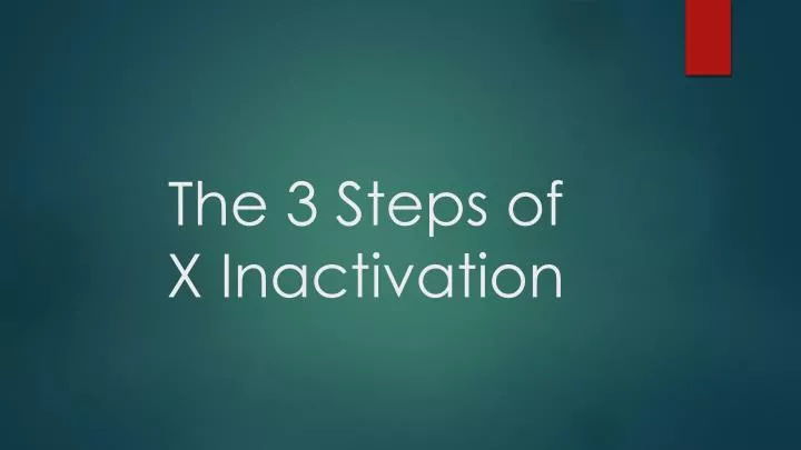 the 3 steps of x inactivation