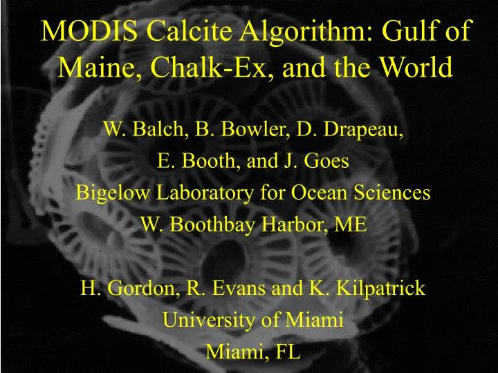 modis calcite algorithm gulf of maine chalk ex and the world