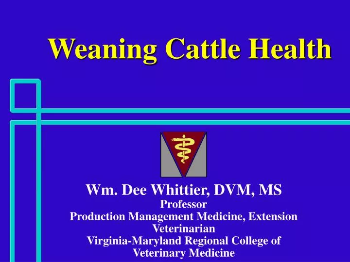 weaning cattle health