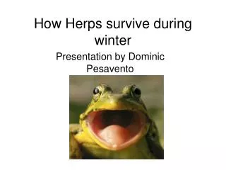 How Herps survive during winter