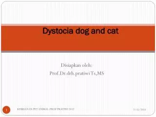 Dystocia dog and cat