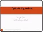 Dystocia dog and cat - slide 1