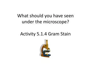 What should you have seen under the microscope? Activity 5.1.4 Gram Stain