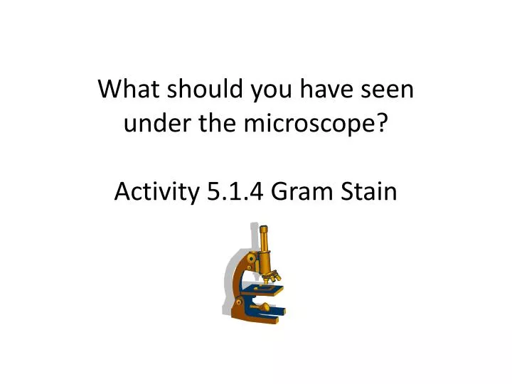 what should you have seen under the microscope activity 5 1 4 gram stain