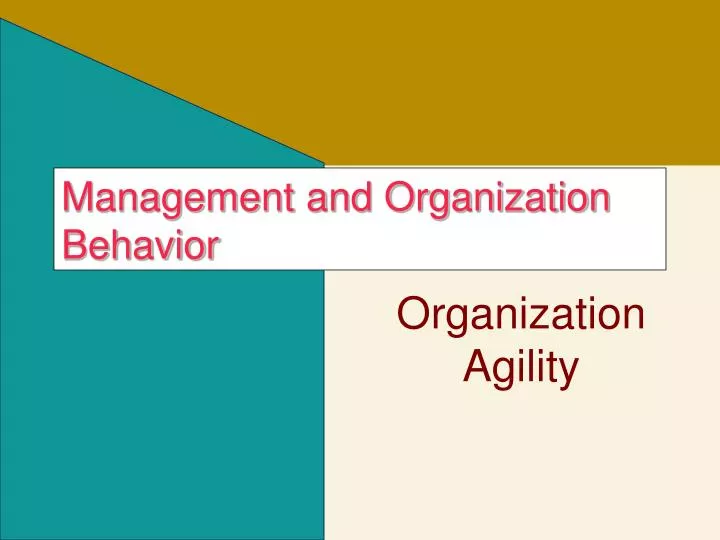 management and organization behavior