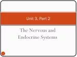 Understanding Nervous and Endocrine Systems: The Basics - slide 1
