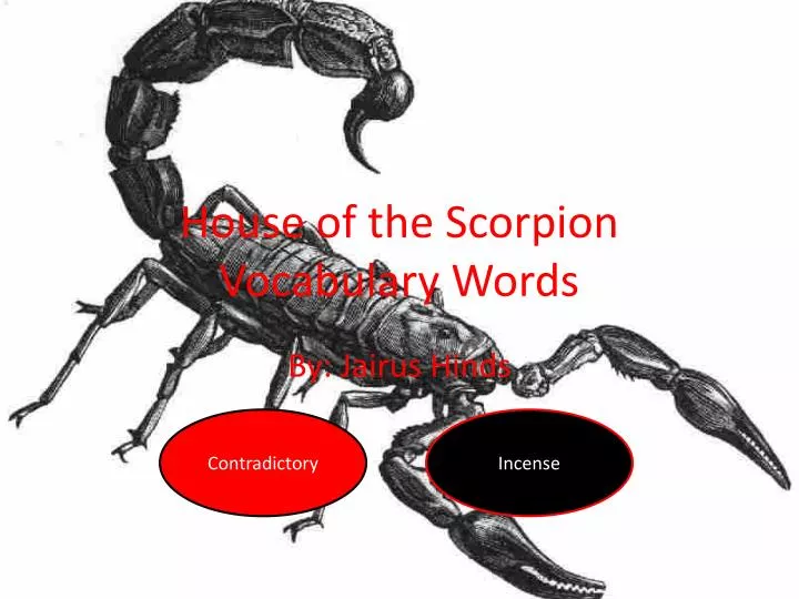 house of the scorpion vocabulary words