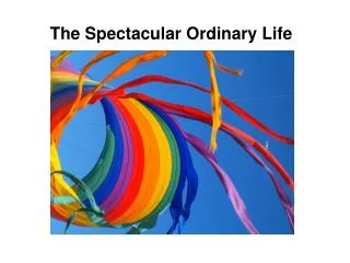 The Spectacular Ordinary Life
