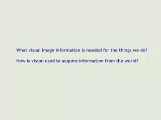 What visual image information is needed for the things we do?