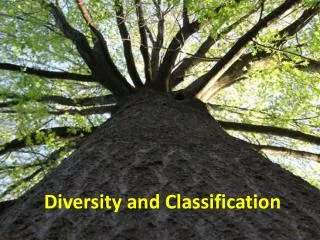 Diversity and Classification