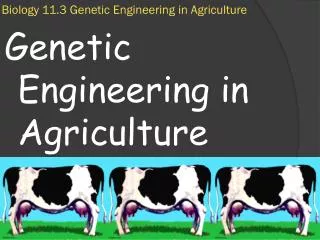 Biology 11.3 Genetic Engineering in Agriculture