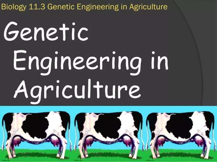 biology 11 3 genetic engineering in agriculture