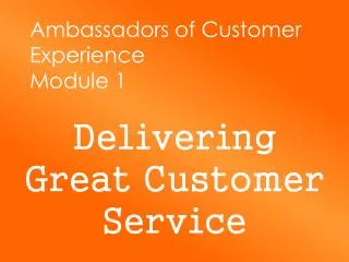 Ambassadors of Customer Experience Module 1