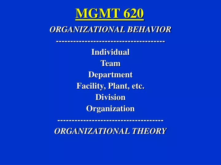 mgmt 620