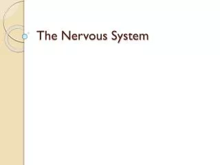 The Nervous System