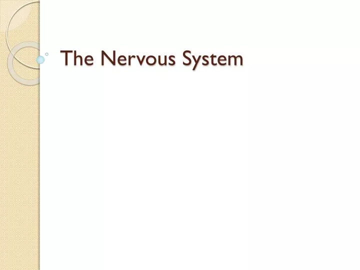 the nervous system