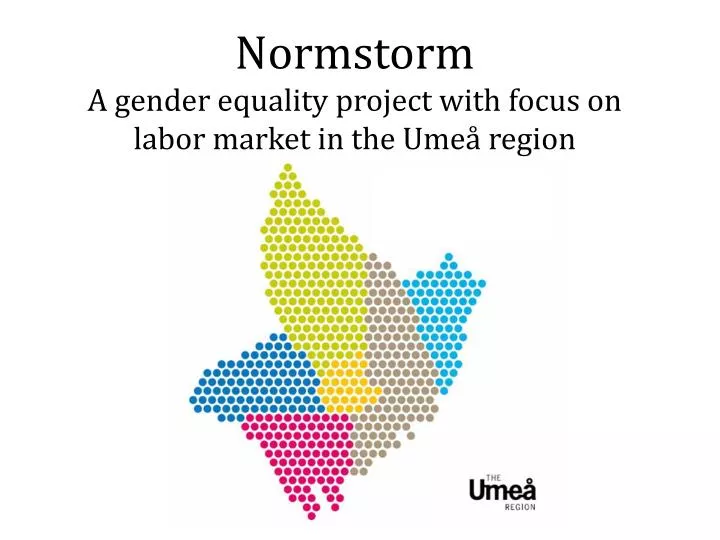 normstorm a gender equality project with focus on labor market in the ume region