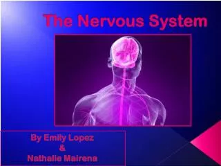 The Nervous System