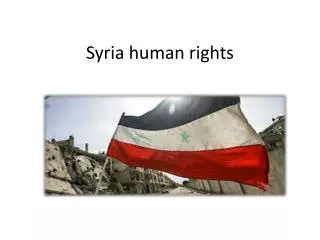 Syria human rights