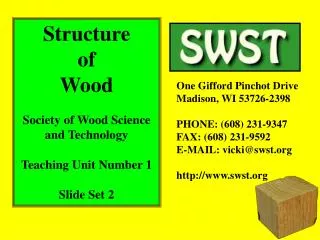 Structure of Wood