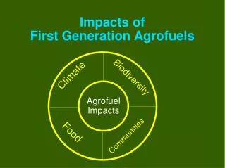 Impacts of First Generation Agrofuels