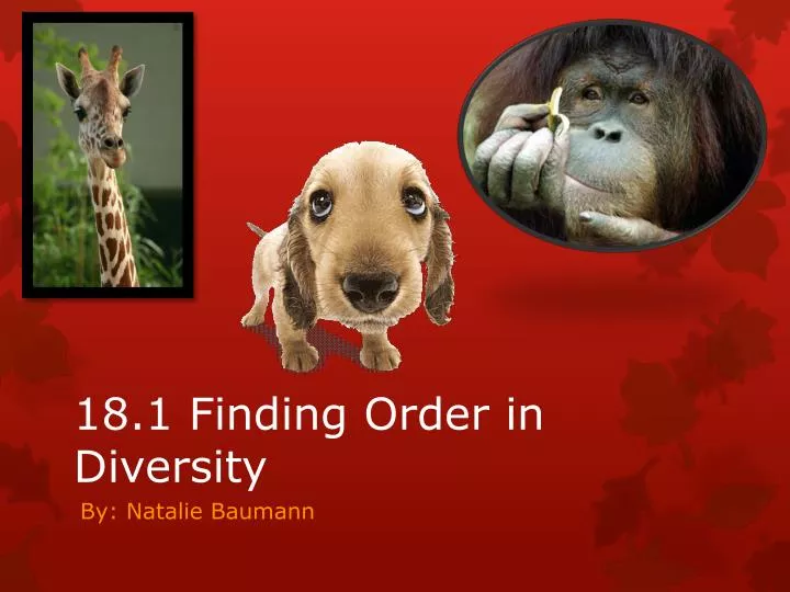 18 1 finding order in diversity