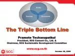 The Triple Bottom Line - slide 1