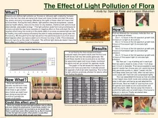 The Effect of Light Pollution of Flora