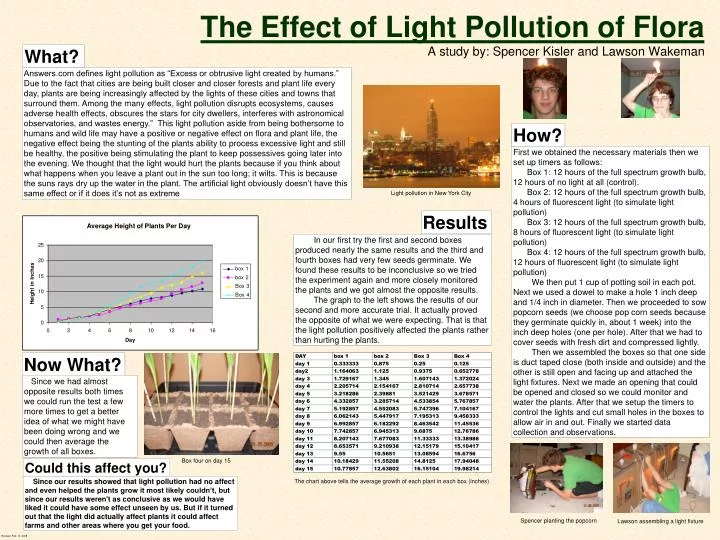 the effect of light pollution of flora