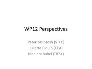 WP12 Perspectives