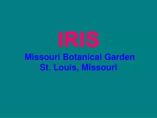 IRIS Missouri Botanical Garden St. Louis, Missouri